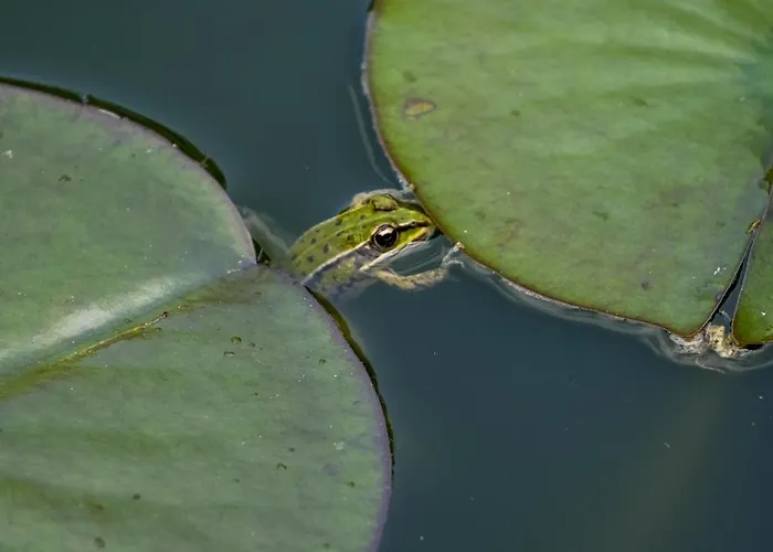 Chateau Du Loroux Villa *