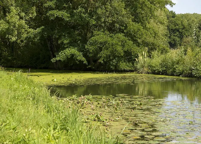 Chateau Du Loroux Vernantes